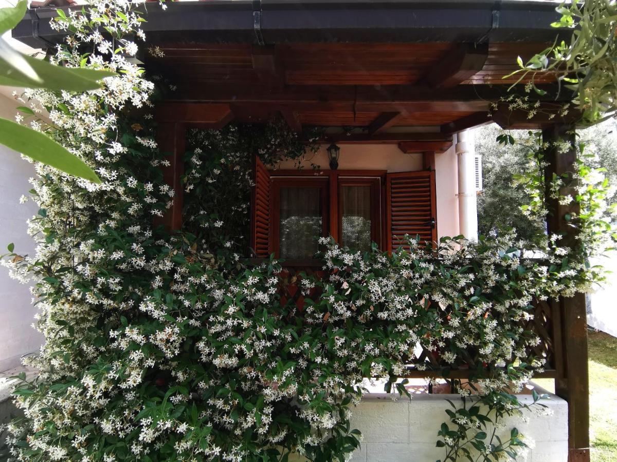Apartments Maris Garden Petrovac Luaran gambar