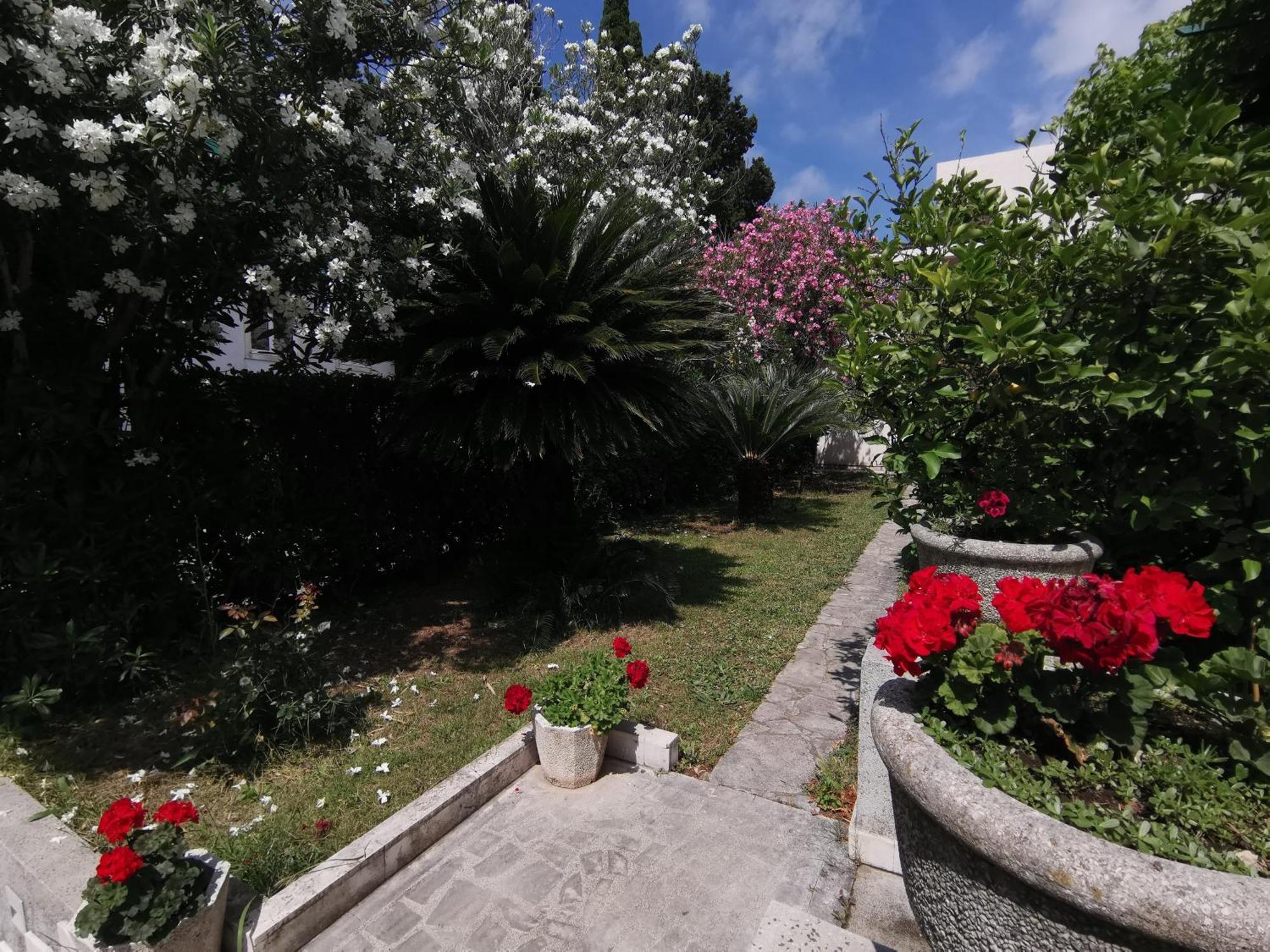 Apartments Maris Garden Petrovac Luaran gambar