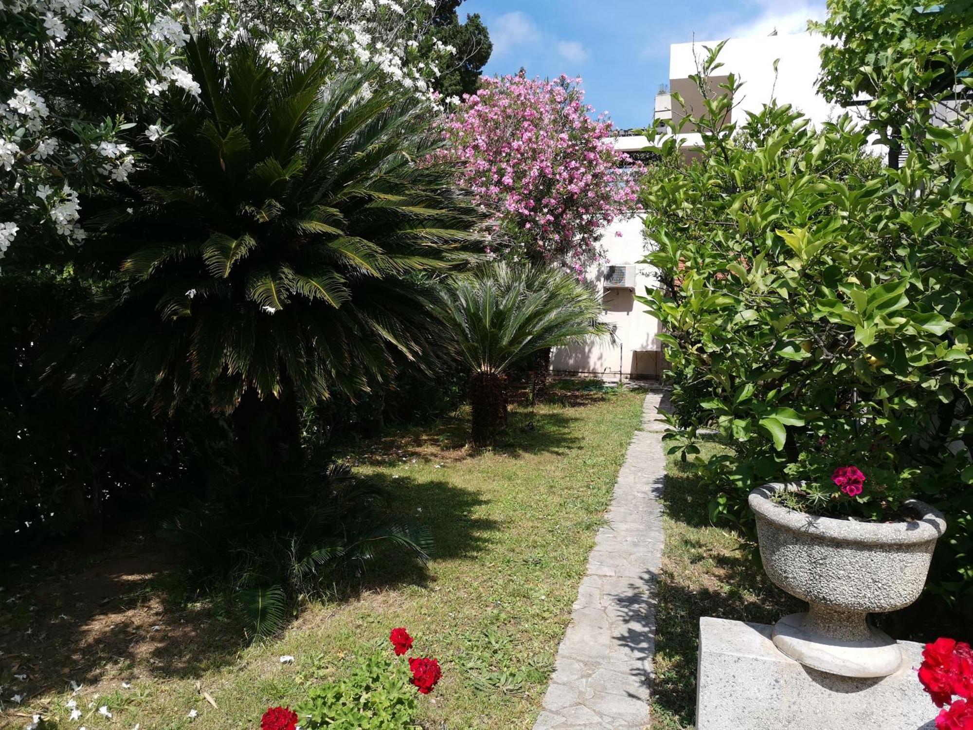 Apartments Maris Garden Petrovac Luaran gambar