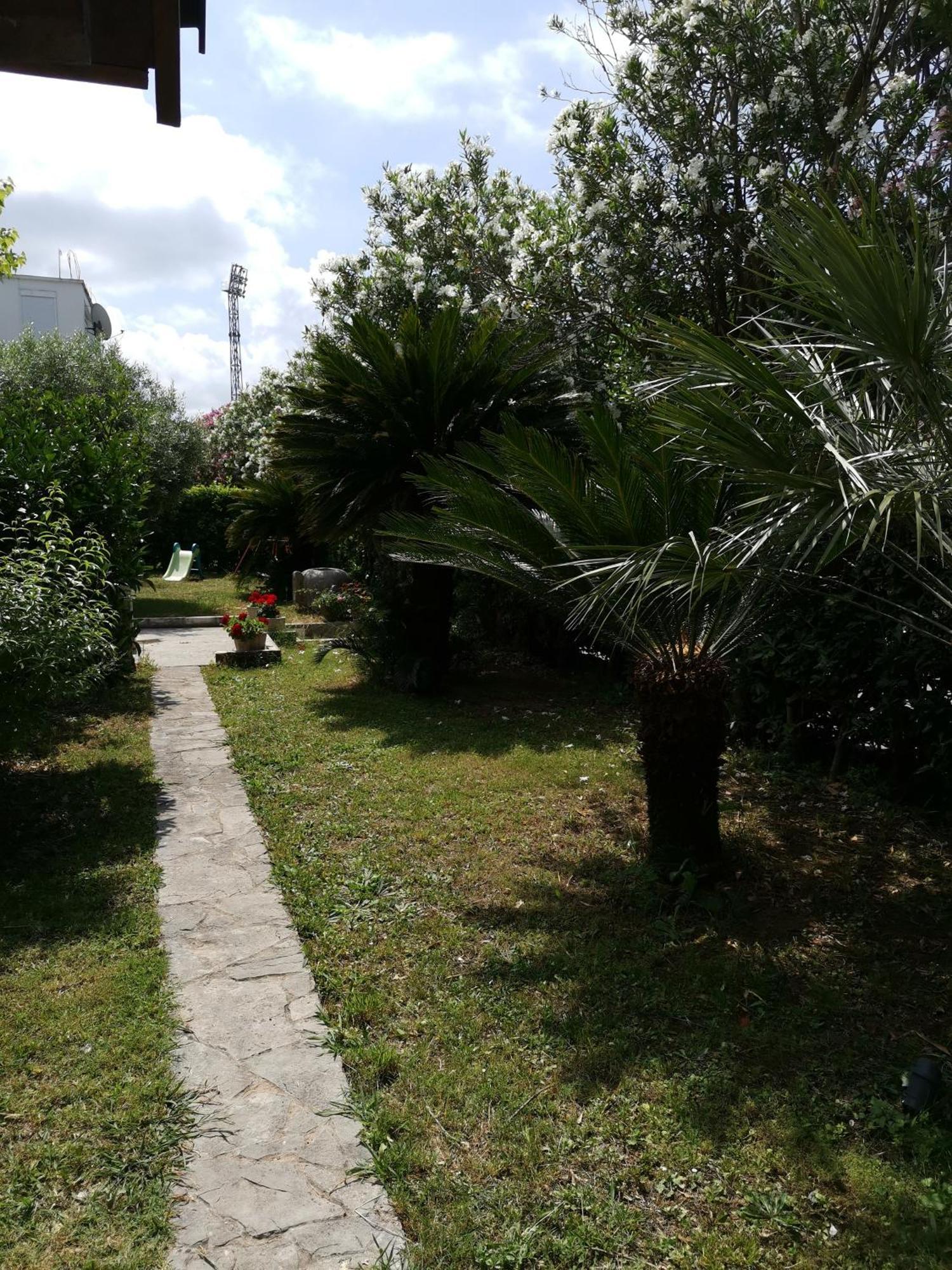 Apartments Maris Garden Petrovac Luaran gambar
