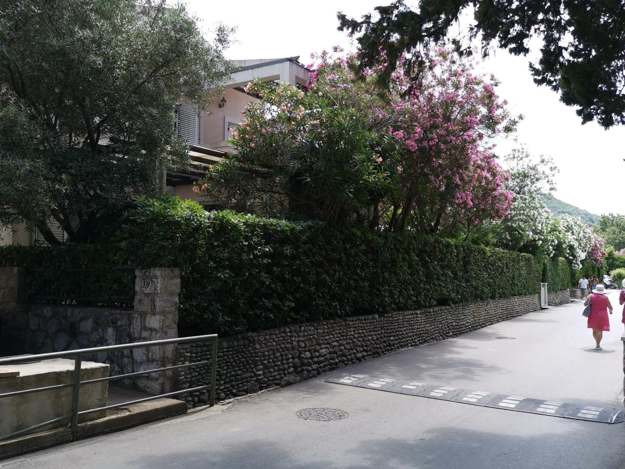 Apartments Maris Garden Petrovac Luaran gambar