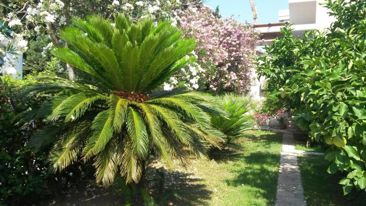 Apartments Maris Garden Petrovac Luaran gambar